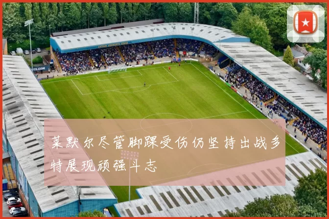 莱默尔尽管脚踝受伤仍坚持出战多特展现顽强斗志